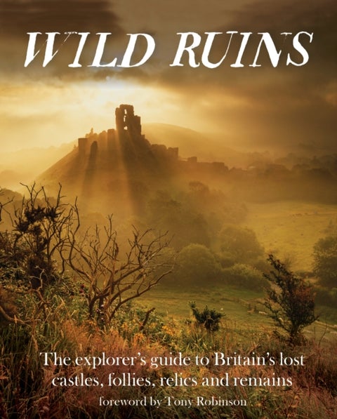 Wild Ruins - The Explorer's Guide to Britain Lost Castles, Follies, Relics and Remains