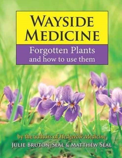 Wayside Medicine - Forgotten Plants and how to use them