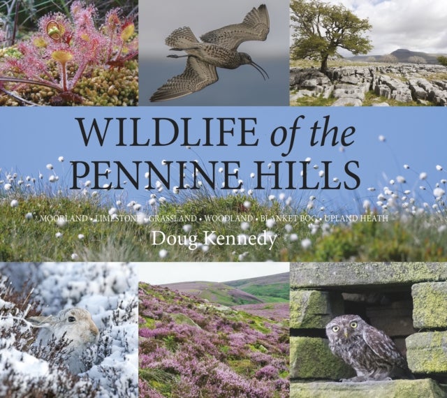 Wildlife of the Pennine Hills - Moorland : Limestone : Grassland : Woodland : Blanket Bog : Upland Heath