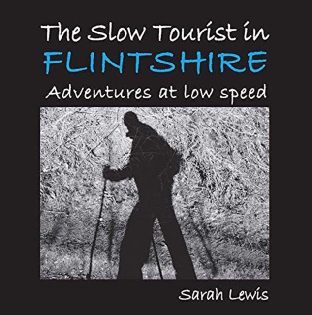 Bilde av The Slow Tourist In Flintshir Av Sarah Lewis