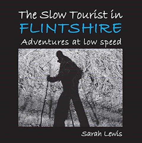 The Slow Tourist in Flintshir - Adventures at low speed
