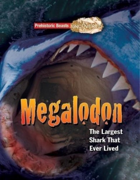 Megalodon - Prehistoric Beasts Uncovered - The Largest Shark That Ever Lived