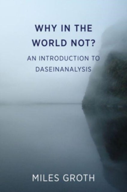 Why in the world not? - An Introduction to Daseinanalysis