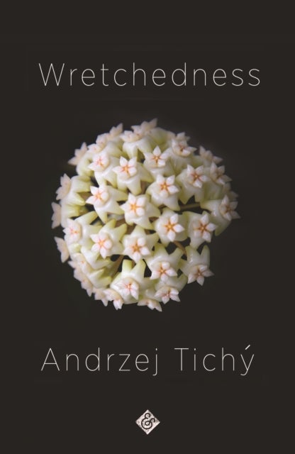 Wretchedness - Winner of the 2021 Oxford-Weidenfeld Translation Prize