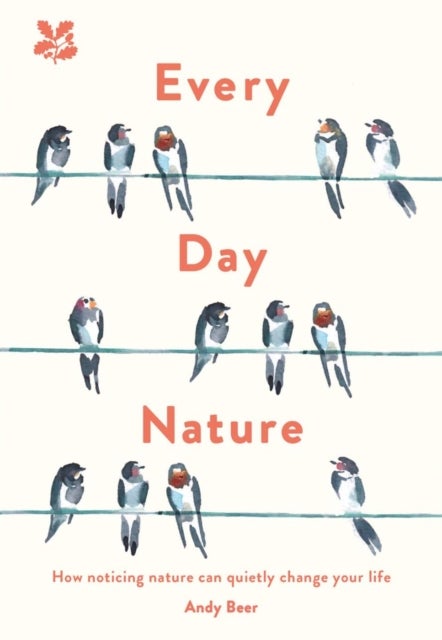 Every Day Nature - How Noticing Nature Can Quietly Change Your Life
