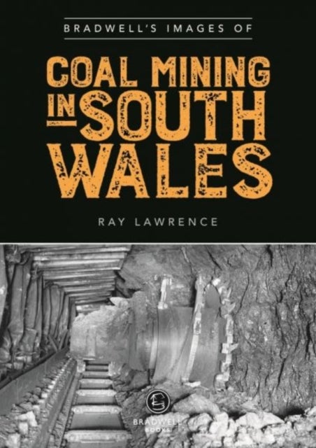 Bilde av Bradwell&#039;s Images Of South Wales Coal Mining Av Ray Lawrence
