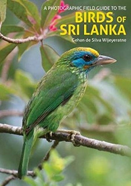 The Birds of Sri Lanka - A Photographic Field Guide (2nd edition)