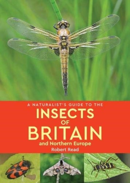 Bilde av A Naturalist&#039;s Guide To The Insects Of Britain And Northern Europe (2nd Edition) Av Robert Read