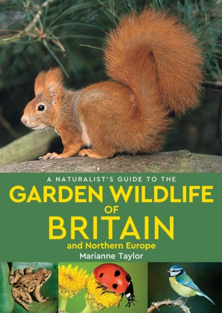 Bilde av A Naturalist¿s Guide To The Garden Wildlife Of Britain And Northern Europe (2nd Edition) Av Marianne Taylor