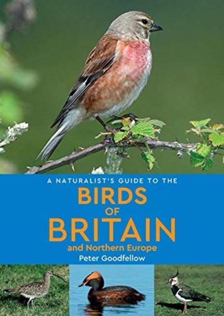 Bilde av A Naturalist&#039;s Guide To The Birds Of Britain And Northern Europe (2nd Edition) Av Peter Goodfellow