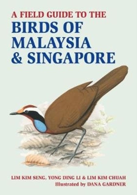 A Field Guide to Birds of Malaysia & Singapore av Lim Kim Seng, Yong Ding Li, Lim Kim Chuah