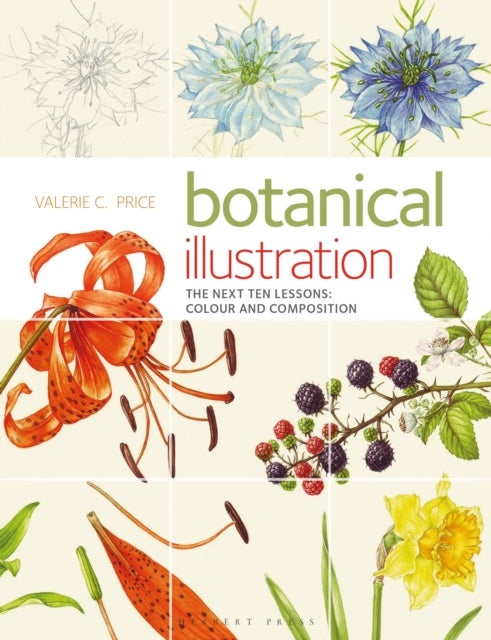 Botanical Illustration - The Next Ten Lessons: Colour and Composition