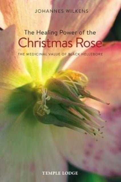 The Healing Power of the Christmas Rose - The Medicinal Value of Black Hellebore