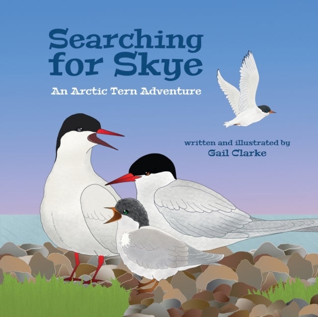 Searching For Skye - An Arctic Tern Adventure