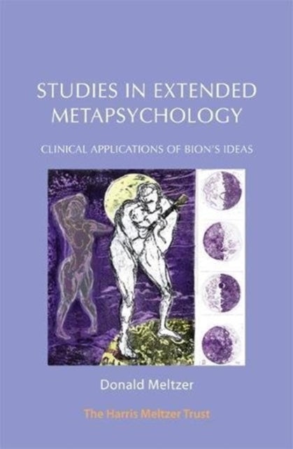 Studies in Extended Metapsychology - Clinical Applications of Bion's Ideas