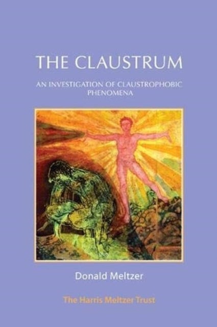 The Claustrum - An Investigation of Claustrophobic Phenomena