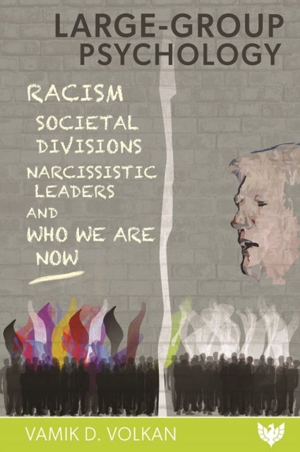 Large-Group Psychology - Racism, Societal Divisions, Narcissistic Leaders and Who We Are Now