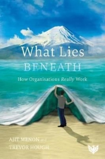 What Lies Beneath - How Organisations Really Work
