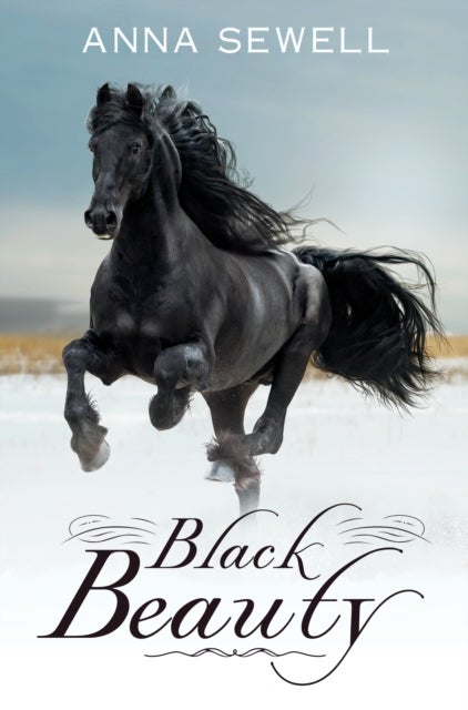 Bilde av Black Beauty (dyslexic Specialist Edition)