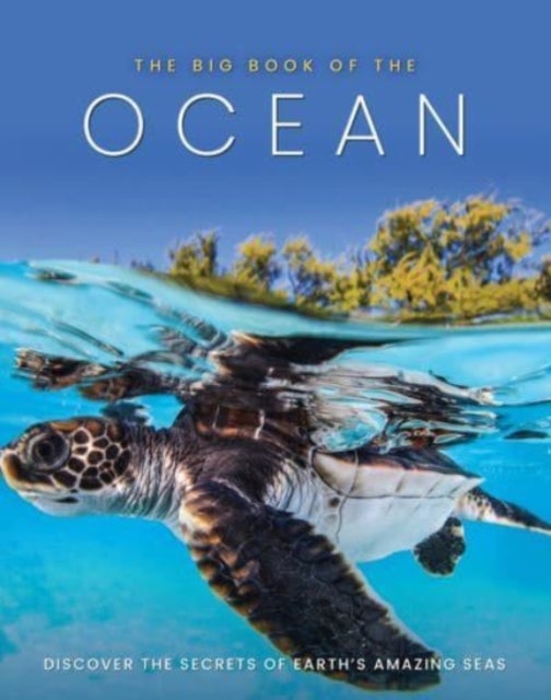 Bilde av The Big Book Of The Ocean Av Sona Books