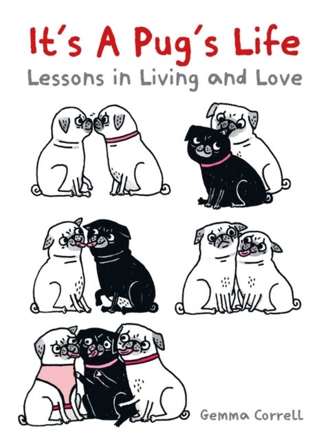 It's a Pug's Life - Lessons in living and love