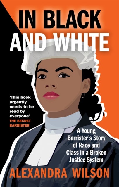 In Black and White - A Young Barrister's Story of Race and Class in a Broken Justice System
