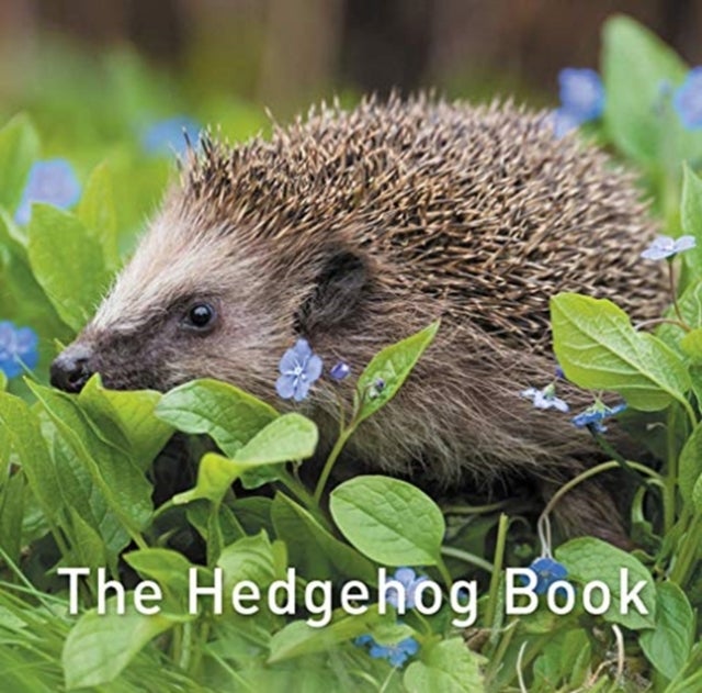 Bilde av Nature Book Series, The: The Hedgehog Book Av Hugh Warwick