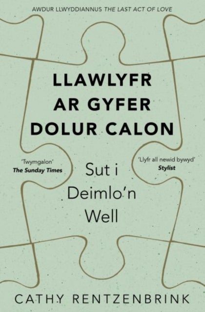 Llawlyfr ar Gyfer Dolur Calon
