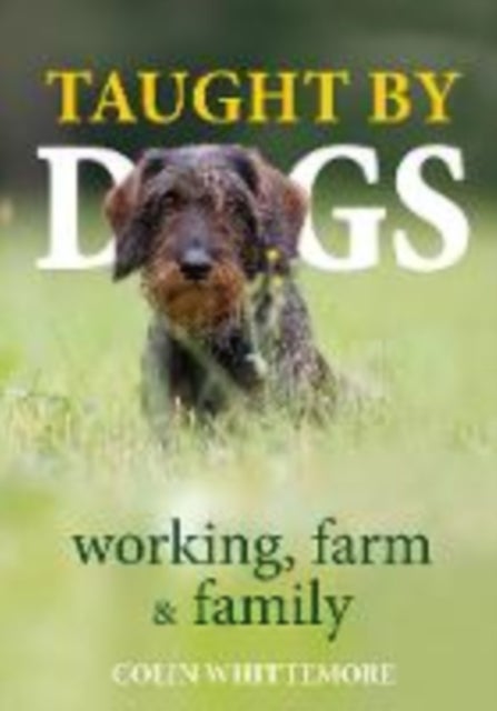 Taught by Dogs - working, farm and family