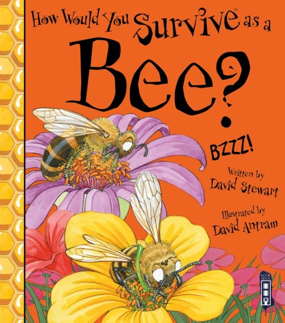 Bilde av How Would You Survive As A Bee? Av David Stewart