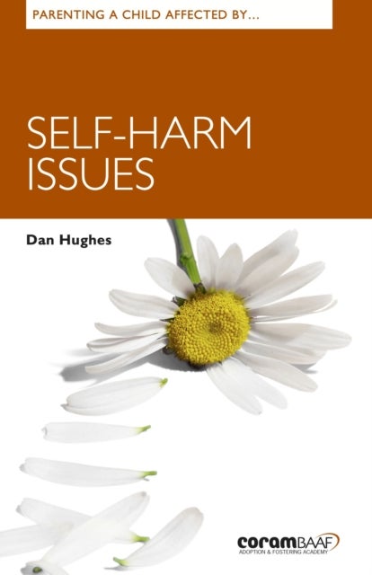 Bilde av Parenting A Child Affected By Self-harm Issues Av Dan Hughes