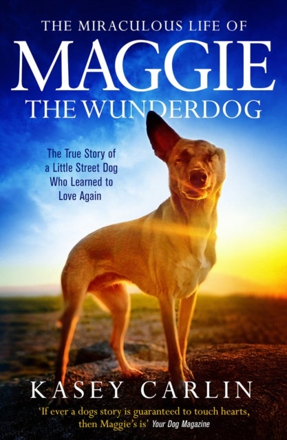 The Miraculous Life of Maggie the Wunderdog - The true story of a little street dog who learned to love again