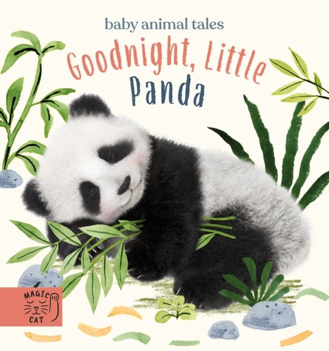 Goodnight, Little Panda - A book about fussy eating