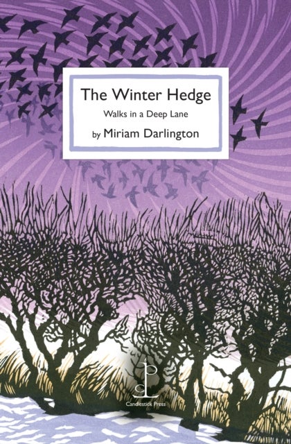 The Winter Hedge - Walks in a Deep Lane