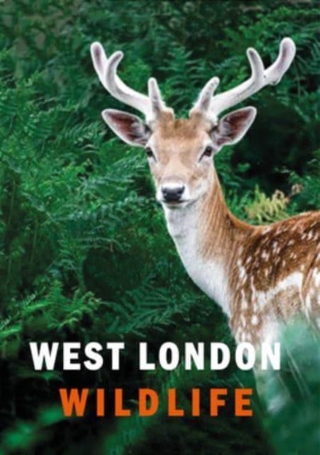 Bilde av West London Wildlife Av Ian Alexander, Susanne Masters