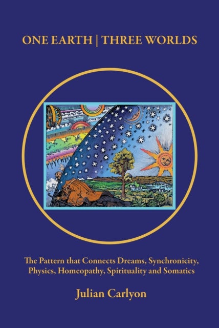 One Earth / Three Worlds - The Pattern that Connects Dreams, Synchronicity, Physics, Homeopathy, Spirituality and Somatics