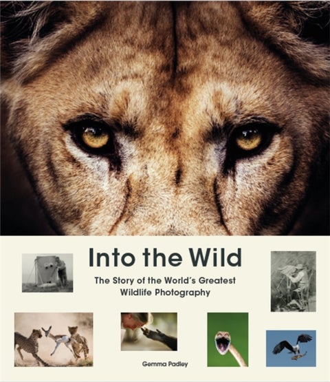 Into the Wild - The Story of the World's Greatest Wildlife Photography