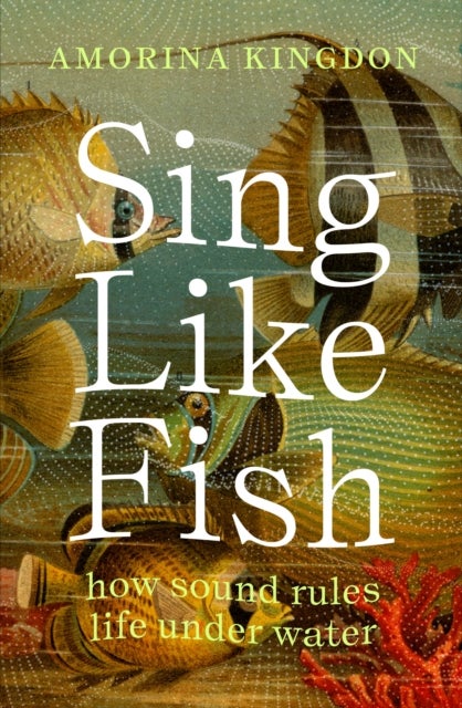 Sing Like Fish - how sound rules life under water