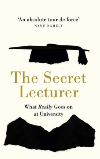The Secret Lecturer - What Really Goes on at University