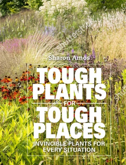 Tough Plants for Tough Places - Invincible Plants for Every Situation