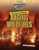 The Science Behind Raging Wildfires