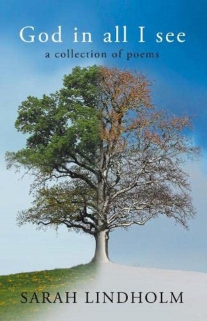 God in all I see - a collection of poems