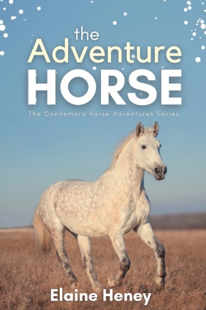 The Adventure Horse - Book 5 in the Connemara Horse Adventure Series for Kids