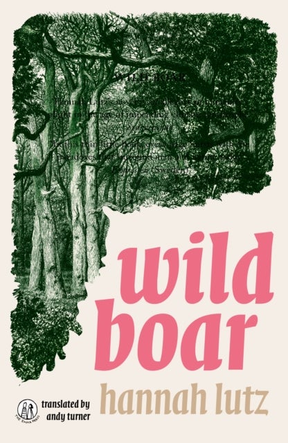 Wild Boar