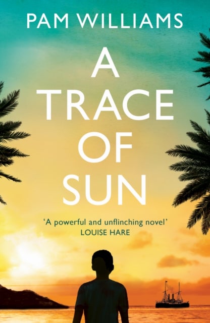 A Trace of Sun - a powerful and extraordinary novel exploring the long-term emotional impact of family separation