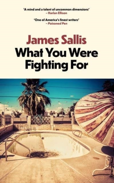 Bilde av What You Were Fighting For Av James Sallis