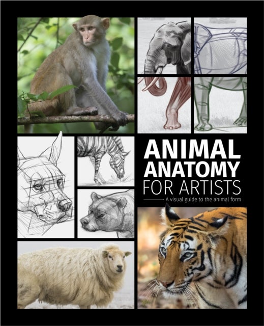 Animal Anatomy for Artists - A visual guide to the form of mammals, reptiles, fish, and birds
