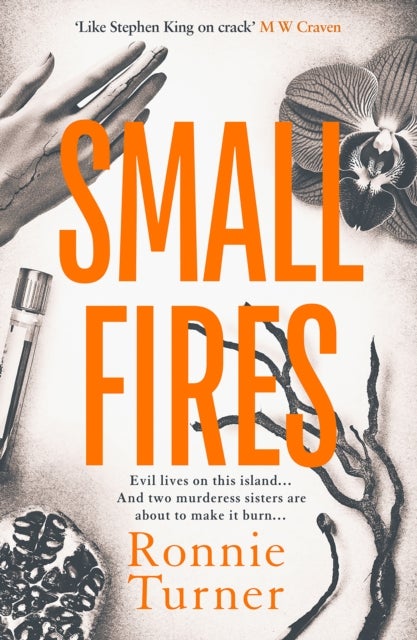 Small Fires - This year's most unsettling, hypnotic contemporary gothic thriller