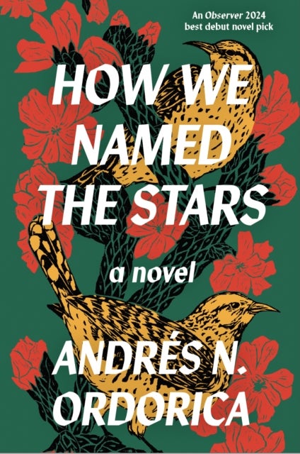 Bilde av How We Named The Stars Av Andres N. Ordorica