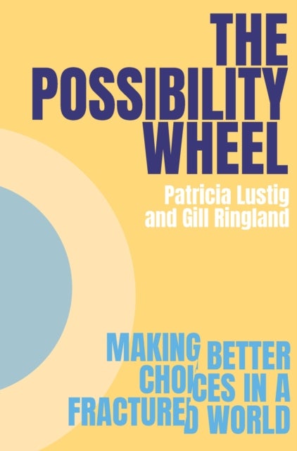 The Possibility Wheel - Making better choices in a fractured world